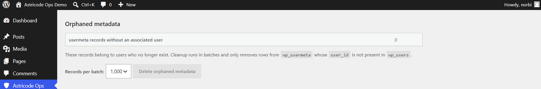 Astricode Ops database-after-orphan-postmeta-cleanup